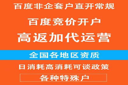 百度推广技巧分享：成功案例解析